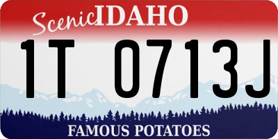 ID license plate 1T0713J