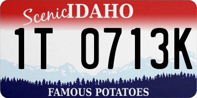 ID license plate 1T0713K