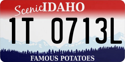 ID license plate 1T0713L