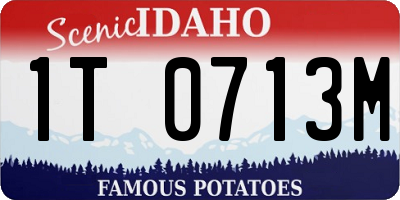 ID license plate 1T0713M