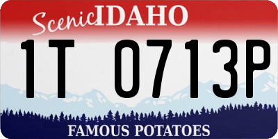 ID license plate 1T0713P