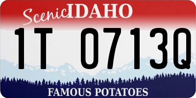 ID license plate 1T0713Q