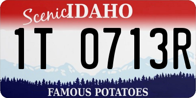ID license plate 1T0713R
