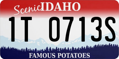 ID license plate 1T0713S