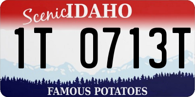 ID license plate 1T0713T