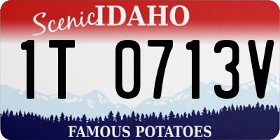 ID license plate 1T0713V
