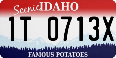 ID license plate 1T0713X
