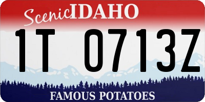 ID license plate 1T0713Z