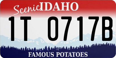 ID license plate 1T0717B