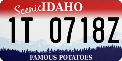 ID license plate 1T0718Z