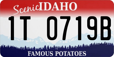 ID license plate 1T0719B
