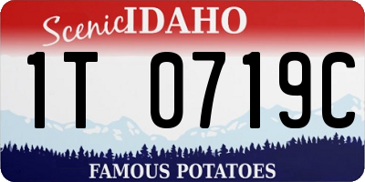 ID license plate 1T0719C