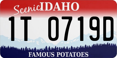 ID license plate 1T0719D