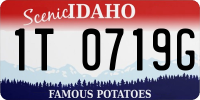 ID license plate 1T0719G