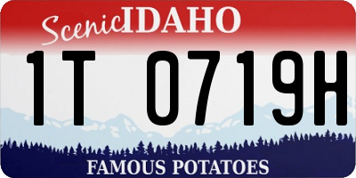 ID license plate 1T0719H