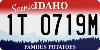 ID license plate 1T0719M