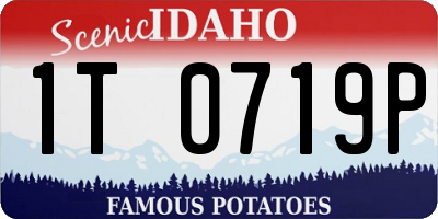 ID license plate 1T0719P