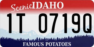 ID license plate 1T0719Q