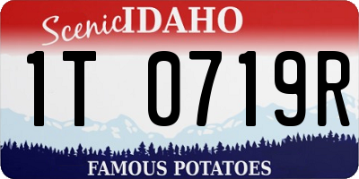 ID license plate 1T0719R