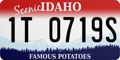 ID license plate 1T0719S