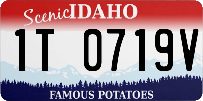 ID license plate 1T0719V