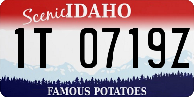 ID license plate 1T0719Z