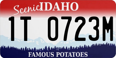 ID license plate 1T0723M
