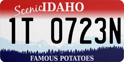 ID license plate 1T0723N