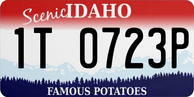 ID license plate 1T0723P