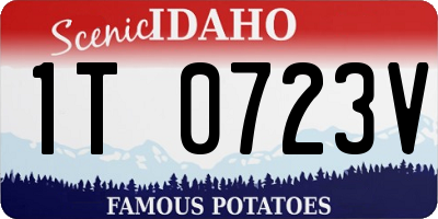 ID license plate 1T0723V