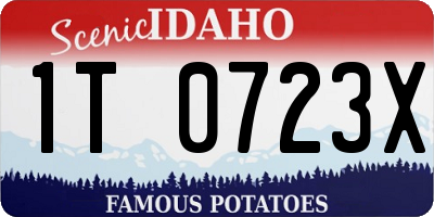 ID license plate 1T0723X