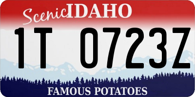 ID license plate 1T0723Z