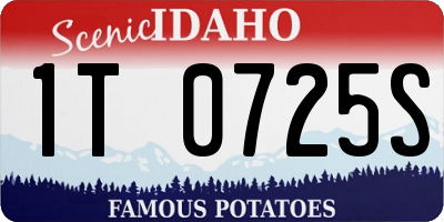 ID license plate 1T0725S