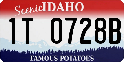 ID license plate 1T0728B