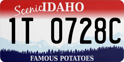 ID license plate 1T0728C