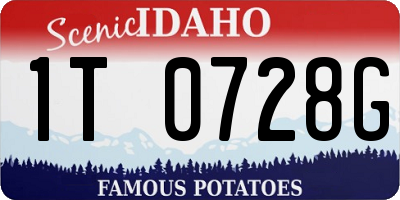 ID license plate 1T0728G