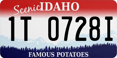 ID license plate 1T0728I