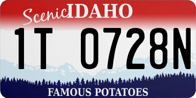 ID license plate 1T0728N
