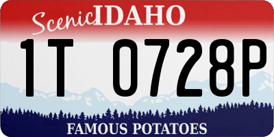 ID license plate 1T0728P