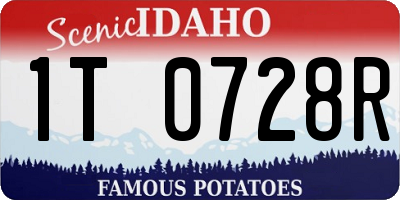 ID license plate 1T0728R
