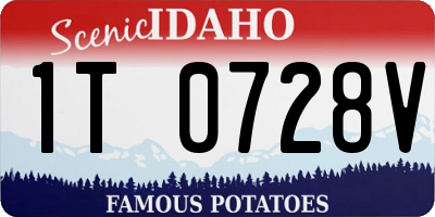 ID license plate 1T0728V
