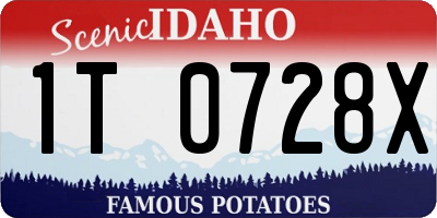 ID license plate 1T0728X