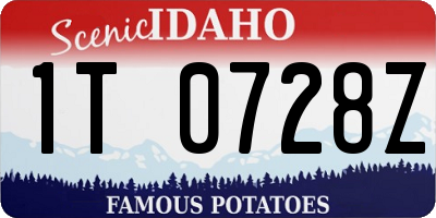 ID license plate 1T0728Z