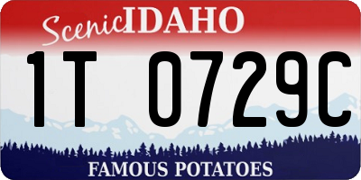 ID license plate 1T0729C