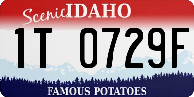 ID license plate 1T0729F
