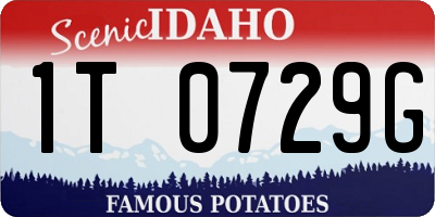 ID license plate 1T0729G