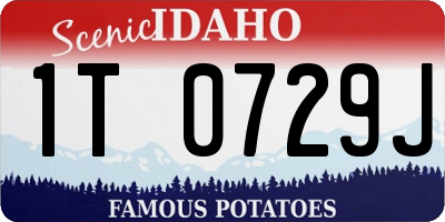ID license plate 1T0729J