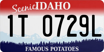ID license plate 1T0729L