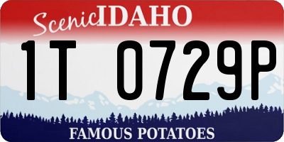 ID license plate 1T0729P