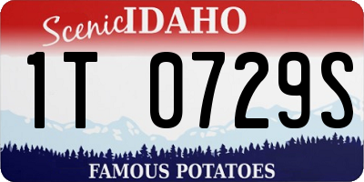 ID license plate 1T0729S